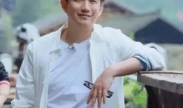 娱乐圈黄磊爆料,揭秘明星背后的故事