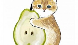 吃瓜小猫动漫视频素材免费,动漫视频素材中的欢乐时光